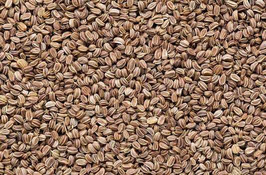 zellermag - celery seed