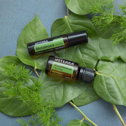 Doterra Teafa (Tea tree) illóolaj 15 ml