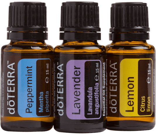 beginners trio large 1558x1350px eu